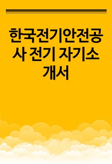 한국전기안전공사 전기 자기소개서