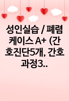 성인실습 / 폐렴케이스 A+ (간호진단5개, 간호과정3개) 꼼꼼한 자료입니다!