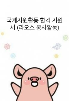 국제자원활동 합격 지원서