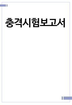 충격시험보고서