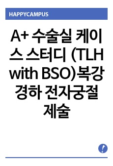 A+ 수술실 케이스 스터디 (TLH with BSO)복강경하 전자궁절제술과 양측난관난소절제술