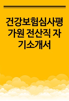 건강보험심사평가원 전산직 자기소개서