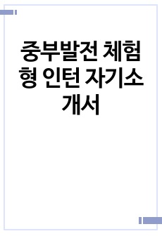 중부발전 체험형 인턴 자기소개서