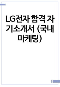 LG전자 합격 자기소개서 (국내마케팅)