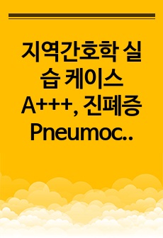 지역간호학 실습 케이스 A+++, 진폐증 Pneumoconiosis 문헌고찰, 진폐증 문헌고찰,  A+++, 교수님 극찬