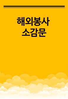 필리핀 해외봉사 소감문