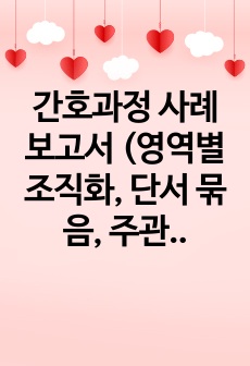 간호과정 사례보고서 (영역별 조직화, 단서 묶음, 주관적자료, 객관적자료, 간호진단 등)