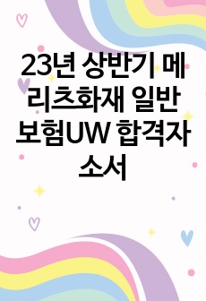 23년 상반기 메리츠화재 일반보험UW 합격자소서