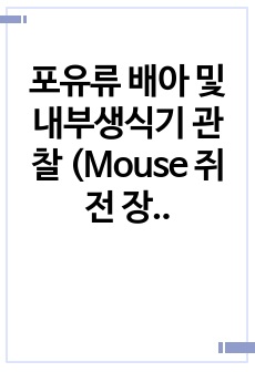 포유류 배아 및 내부생식기 관찰 (Mouse 쥐 전 장기 부검) 실험 보고서