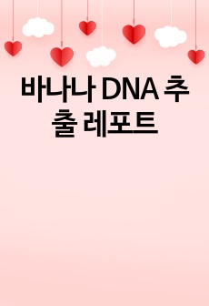 바나나 DNA 추출 레포트