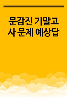 문감진 기말고사 문제 예상답