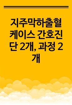 지주막하출혈 케이스 간호진단 2개, 과정 2개