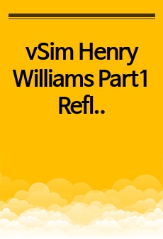 vSim Henry Williams Part1 Reflection Questions 보고서