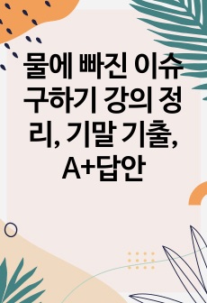 물에 빠진 이슈구하기 강의 정리, 기말 기출 족보, A+답안