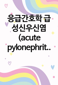 응급간호학 급성신우신염(acute pylonephritis) 케이스스터디 - 간호진단 5개