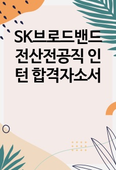 SK브로드밴드 전산전공직 인턴 합격자소서