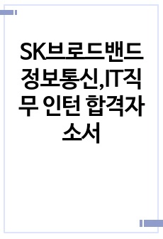 SK브로드밴드 정보통신,IT직무 인턴 합격자소서