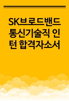 SK브로드밴드 통신기술직 인턴 합격자소서