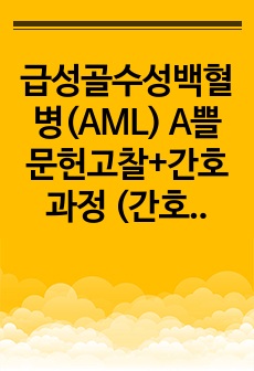 급성골수성백혈병(AML) A쁠 문헌고찰+간호과정 (간호과정 3개)