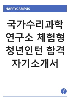 국가수리과학연구소 체험형 청년인턴 합격 자기소개서