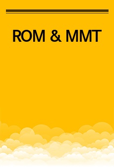 ROM & MMT