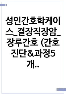 성인간호학케이스_결장직장암_장루간호 (간호진단&과정5개)