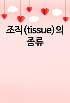 조직(tissue)의 종류