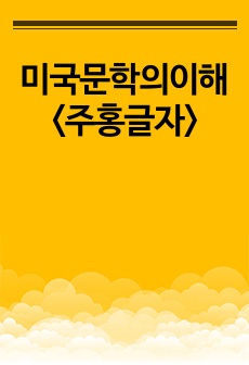 미국문학의이해 <주홍글자>