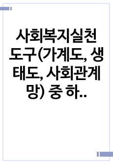 사회복지실천 도구(가계도, 생태도, 사회관계망) 중 하나를 선택하여 사례를 들어 설명하시오.