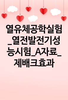 열유체공학실험_열전발전기성능시험_A자료_제배크효과