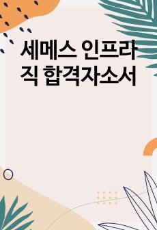 세메스 인프라직 합격자소서