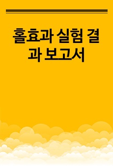 홀효과 실험 결과 보고서