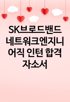 SK브로드밴드 네트워크엔지니어직 인턴 합격자소서