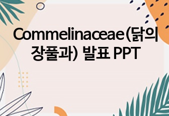 Commelinaceae(닭의장풀과) 발표 PPT