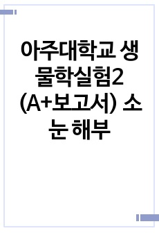 아주대학교 생물학실험2 (A+보고서) 소 눈 해부