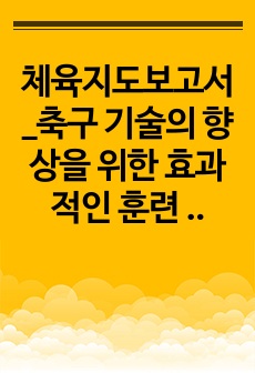 체육지도보고서_축구 기술의 향상을 위한 효과적인 훈련 방법과 개별 포지션별 역할 연구