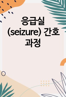 응급실(seizure) 간호과정