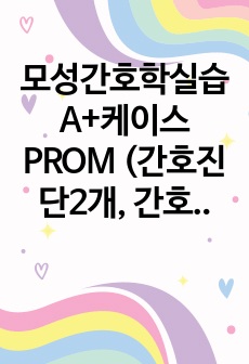 모성간호학실습 A+케이스 PROM (간호진단2개, 간호과정2개)