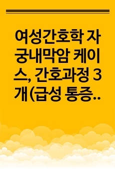 여성간호학 자궁내막암 케이스, 간호과정 3개(급성 통증, 오심, 출혈의 위험)