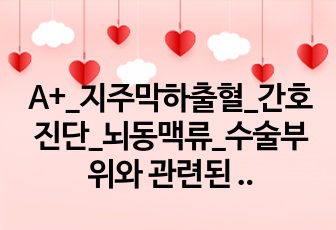 A+_지주막하출혈_간호진단_뇌동맥류_수술부위와 관련된 감염_케이스스터디