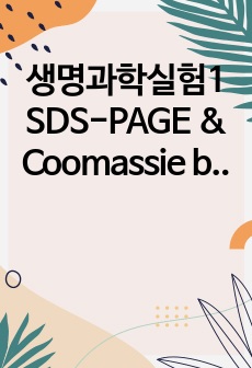 생명과학실험1 SDS-PAGE & Coomassie blue Staining