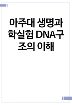 아주대 생명과학실험 DNA구조의 이해