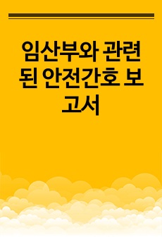 임산부와 관련된 안전간호 보고서