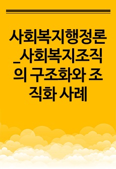 사회복지행정론_사회복지조직의 구조화와 조직화 사례