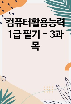 컴퓨터활용능력 1급 필기 - 3과목