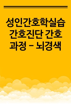 성인간호학실습 간호진단 간호과정 - 뇌경색