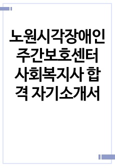 노원시각장애인주간보호센터 사회복지사 합격 자기소개서