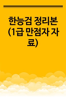 한능검 정리본 (1급 만점자 자료)