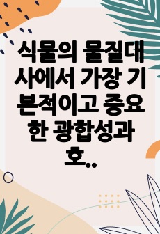 식물의 물질대사에서 가장 기본적이고 중요한 광합성과 호흡에 대해 설명하고, 식물의 생장에 있어서 광합성과 호흡의 관계에 대해 논하시오.