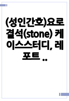 (성인간호)요로결석(stone) 케이스스터디, 레포트 간호진단 6개